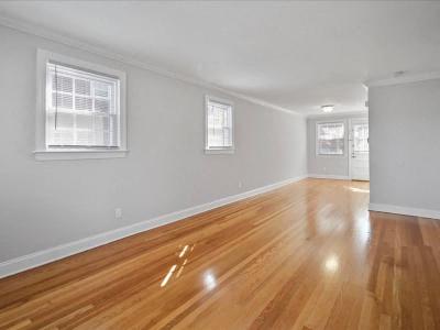 Gallery Photo 41